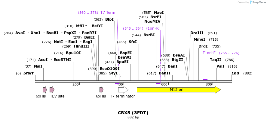 31413_map