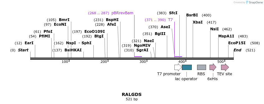 31414_map