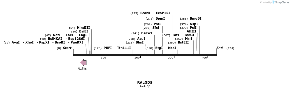 31415_map