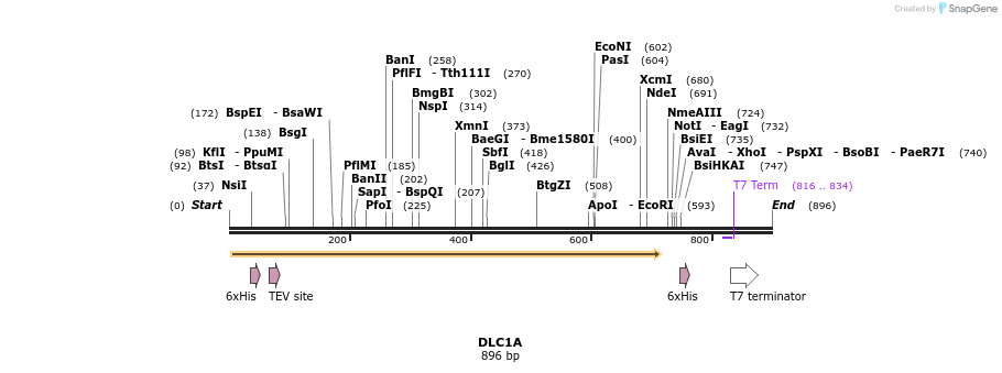 31417_map
