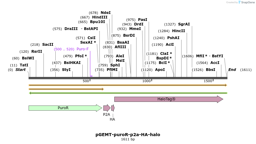 314178_map