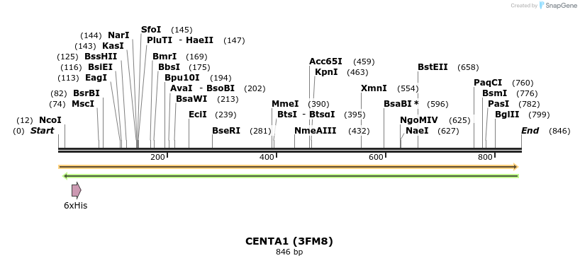 31418_map
