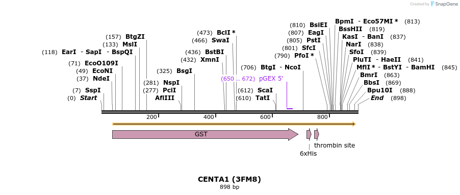 31419_map