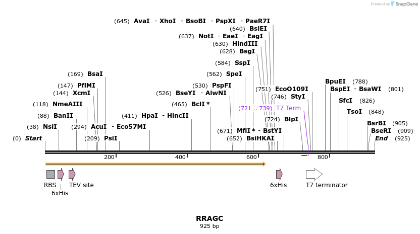 31420_map