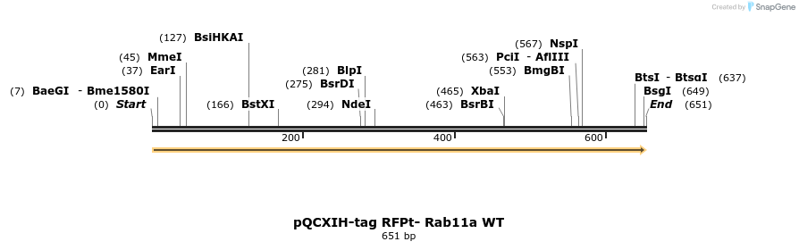 314208_map