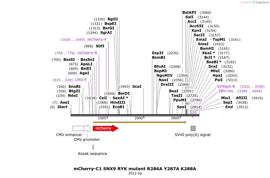 314209_map