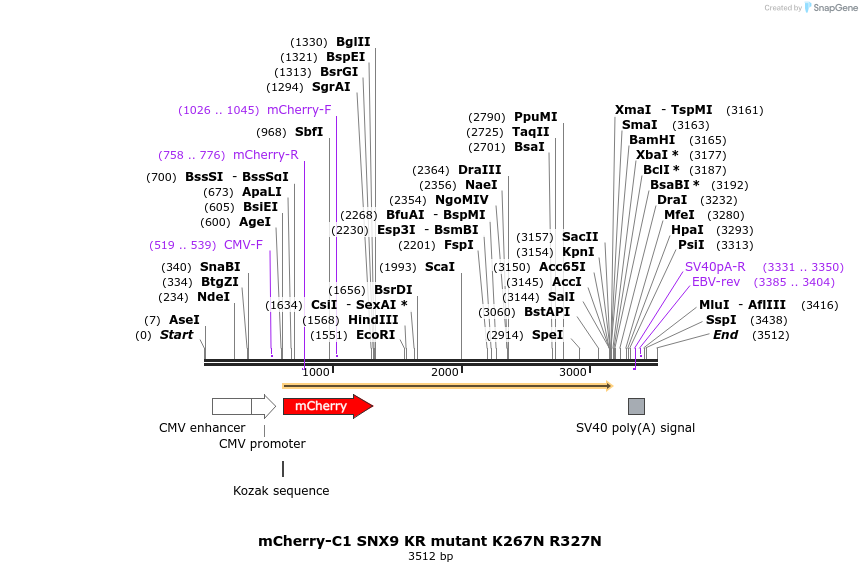 314210_map