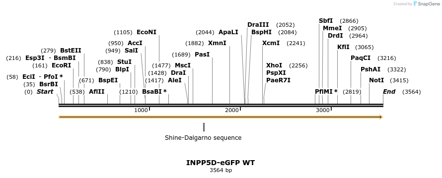 314218_map