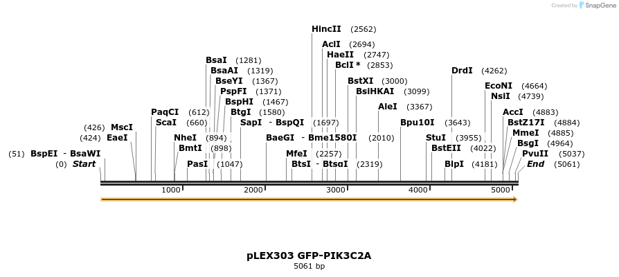 314222_map