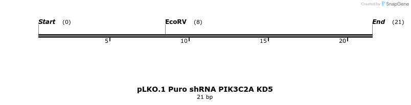 314229_map