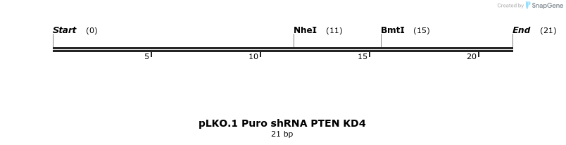 314233_map