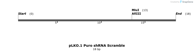 314234_map
