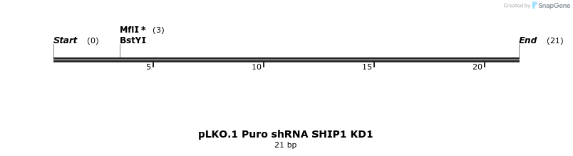 314235_map