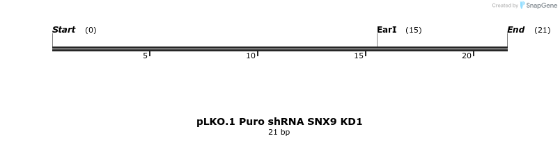 314237_map