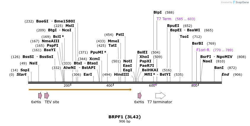 31424_map