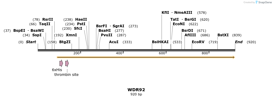 31436_map