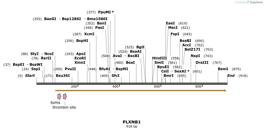 31437_map