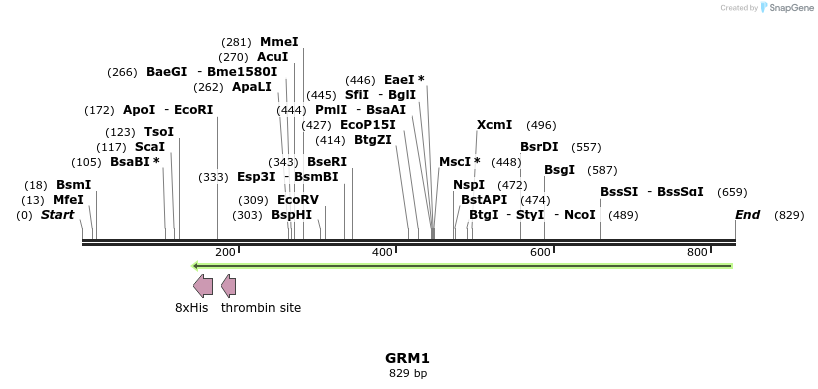 31439_map