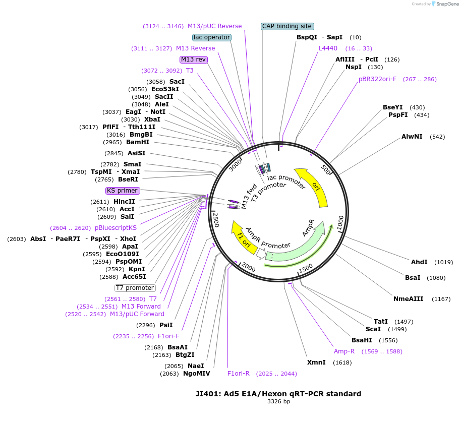 131753-plasmid-map-sequence-id-314394