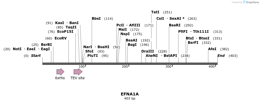 31444_map
