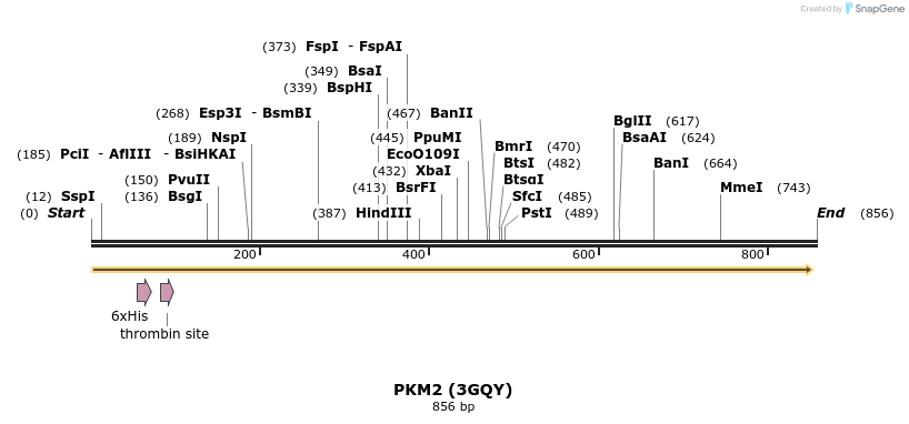 31446_map