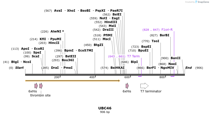 31450_map