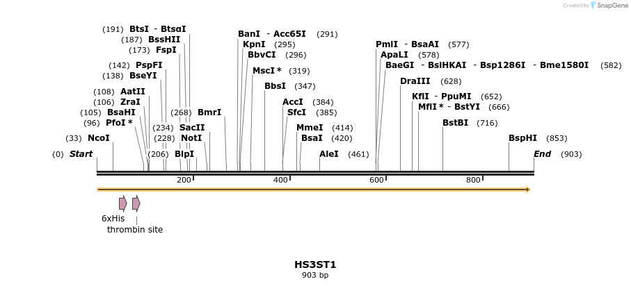 31452_map