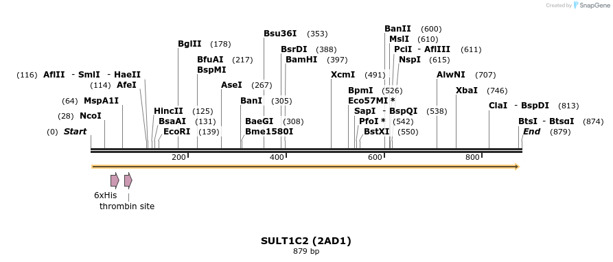 31453_map