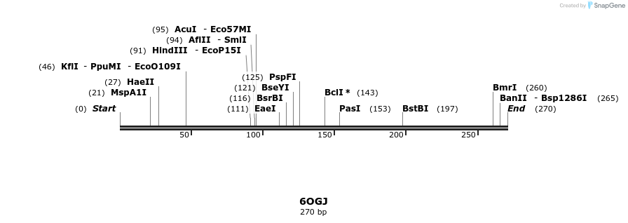 314541_map