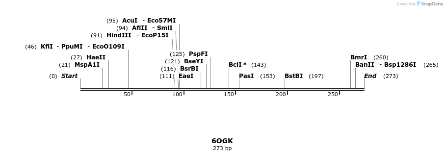 314542_map