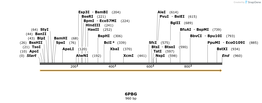 314546_map