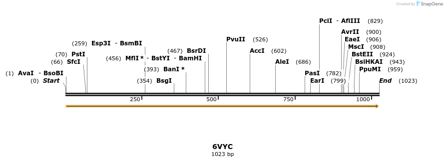 314549_map