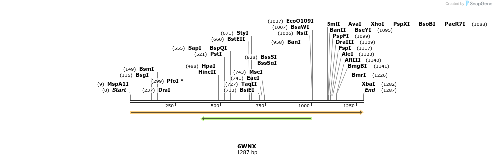314553_map