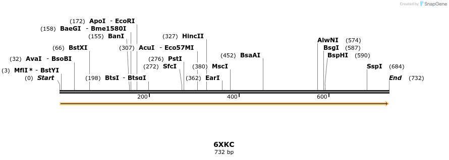 314554_map