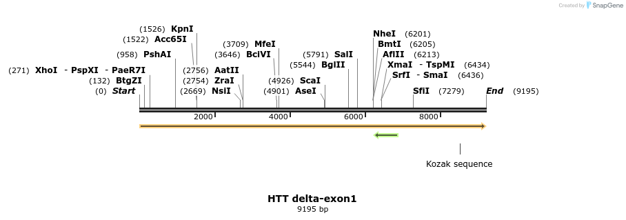 314557_map