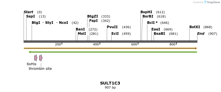 31456_map