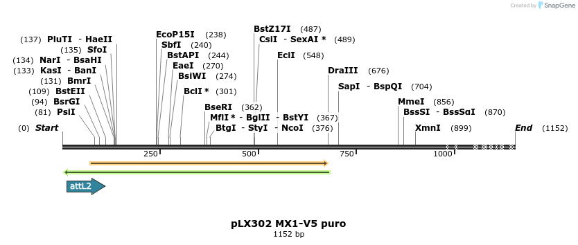 314577_map