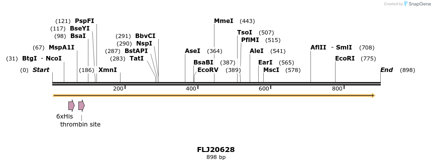 31461_map