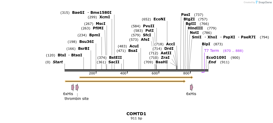 31464_map
