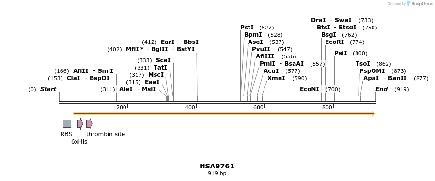 31466_map