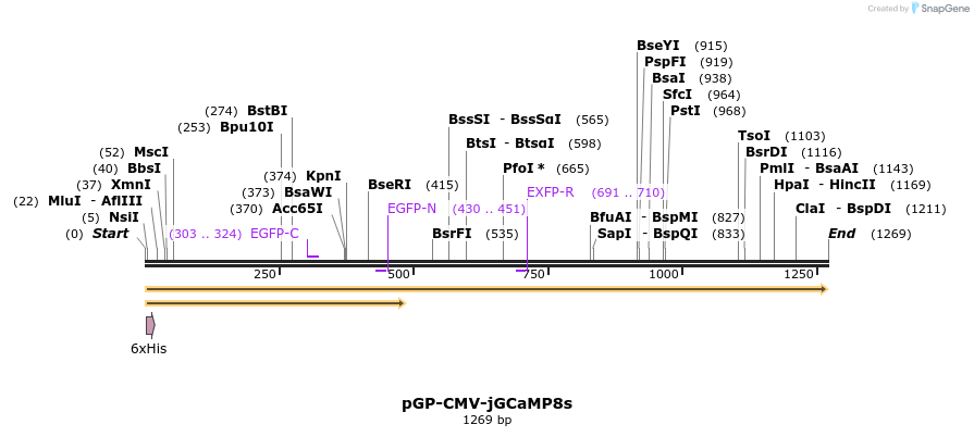 314691_map