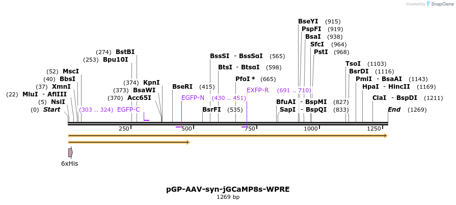 314697_map