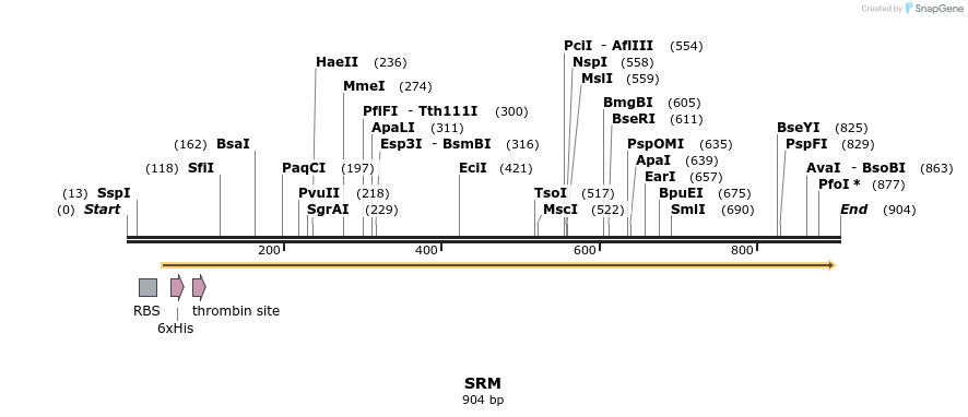 31470_map