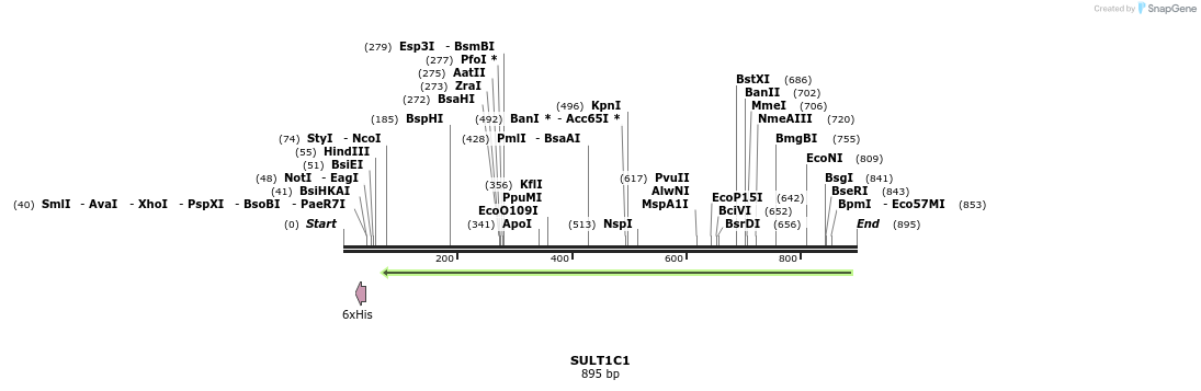 31472_map