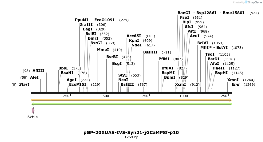 314725_map