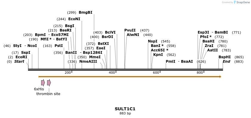 31473_map