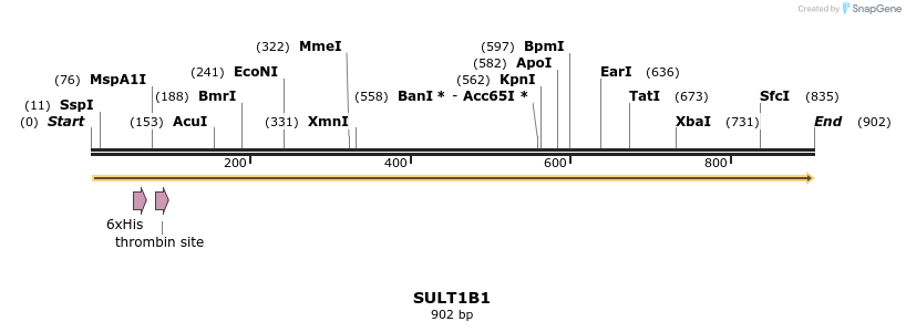 31477_map
