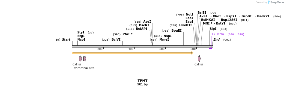 31478_map