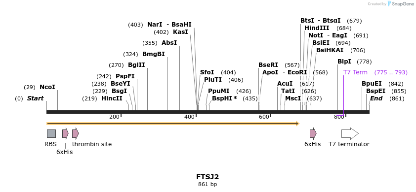 31479_map