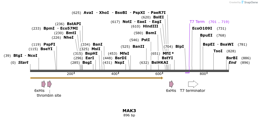 31480_map